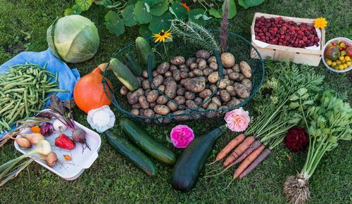 Symbolfoto: Obst und Gemüse aus dem Garten