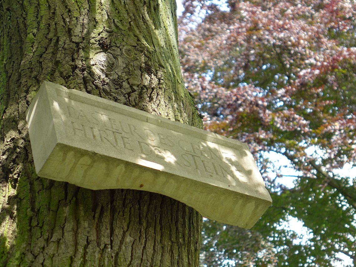 Foto Finlay-Park