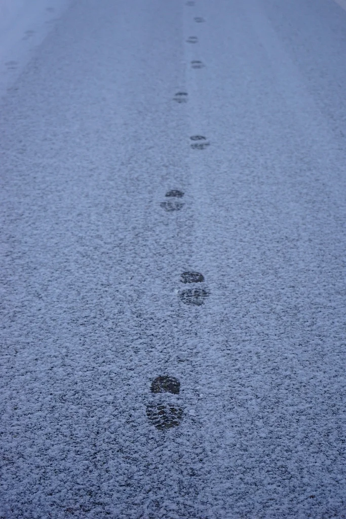 Foto Spuren im Schnee