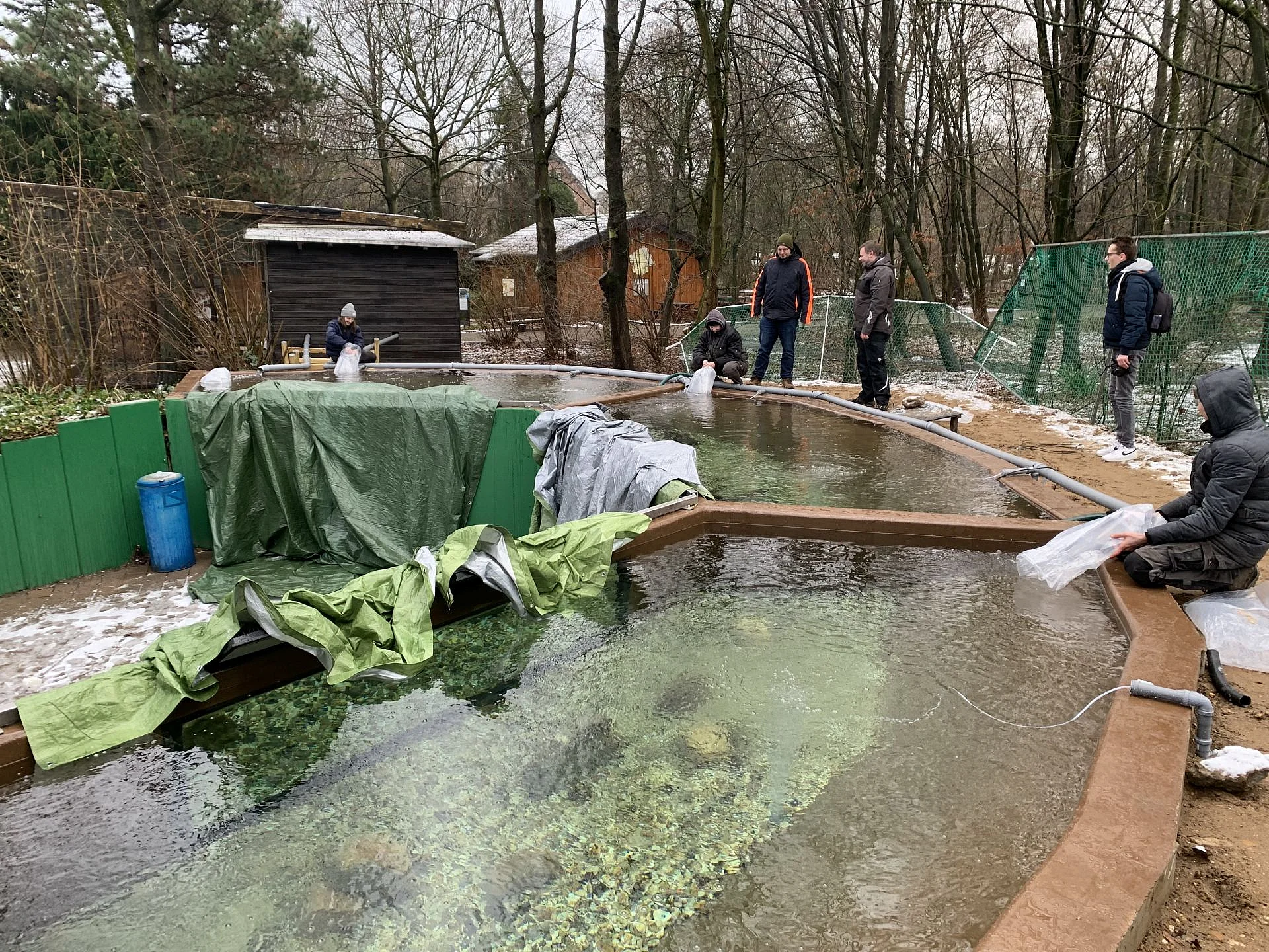Foto Aquarium Schneckenhaus
