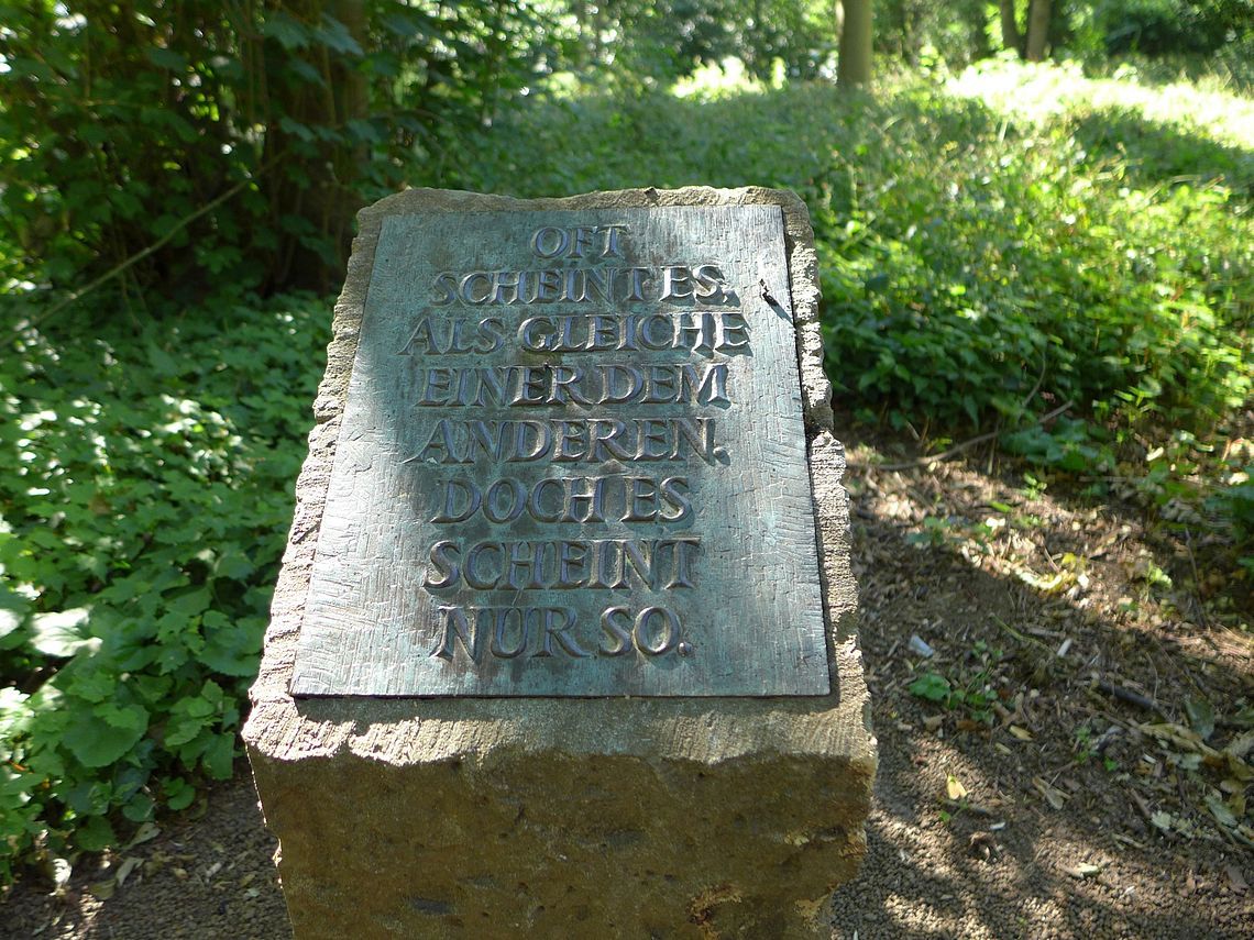 Foto Finlay-Park