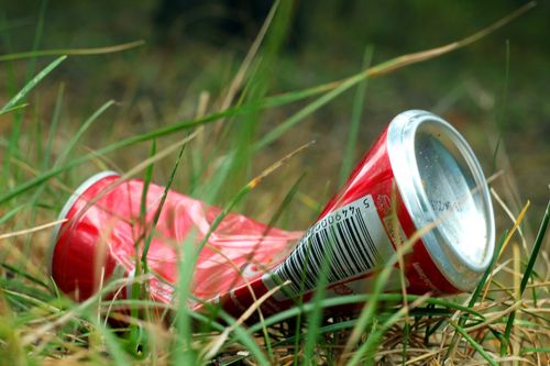 Symbolfoto: auf dem Foto ist eine leere, weggeworfene Getränkedose im Gras zu sehen