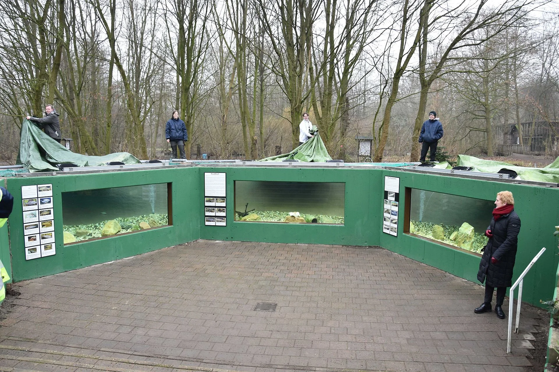 Foto vom Aquarium