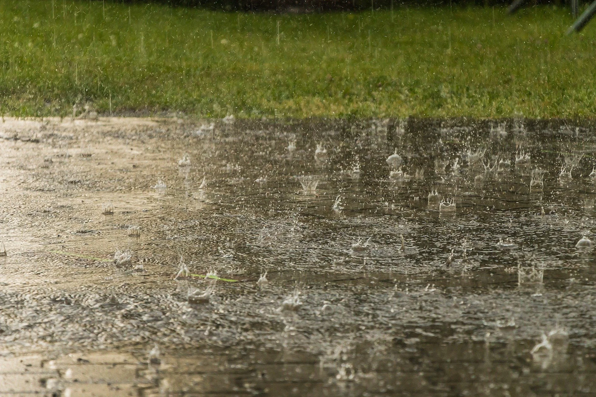 Foto Regen