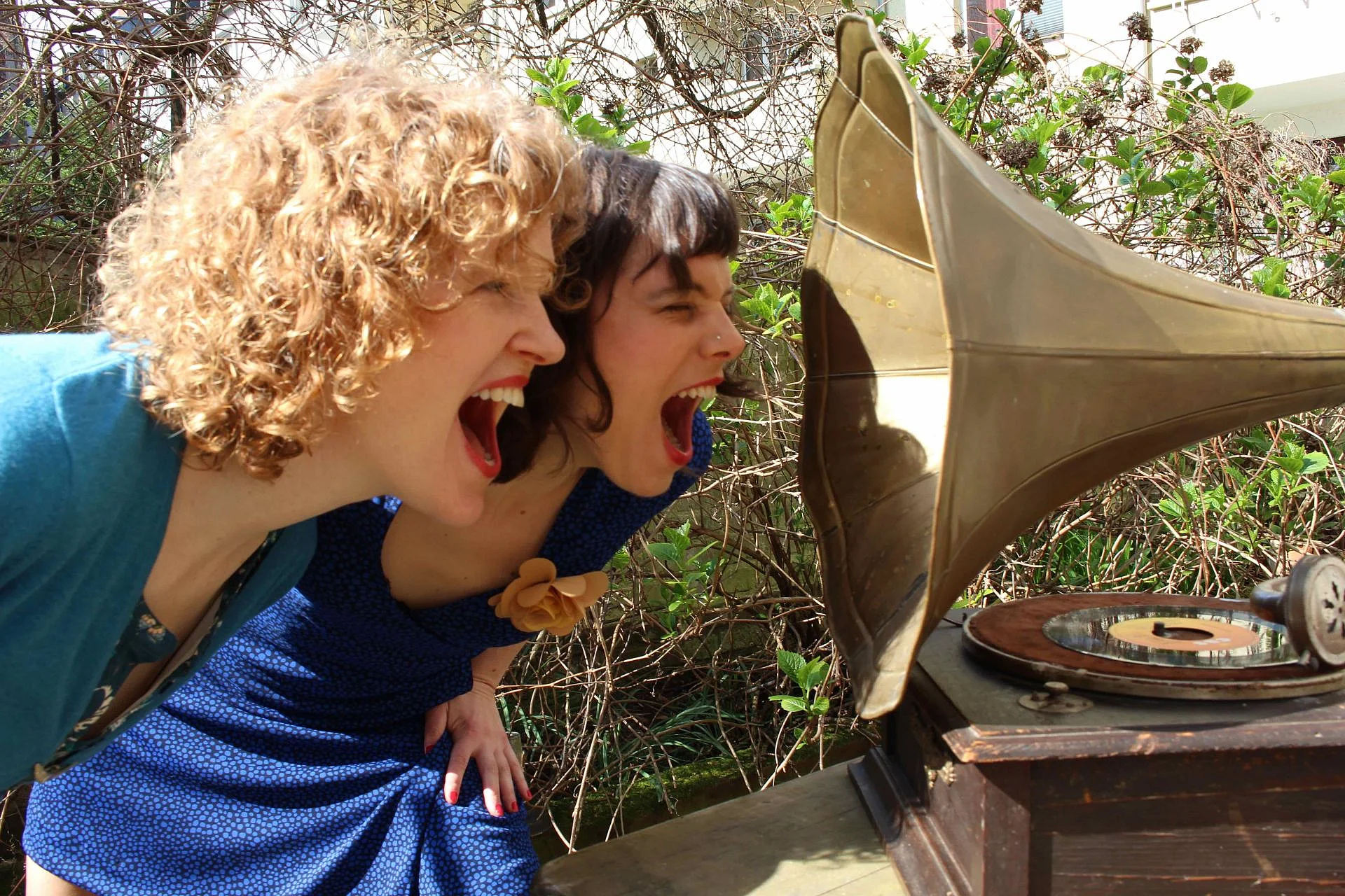 Foto der Blue Jay Sisters