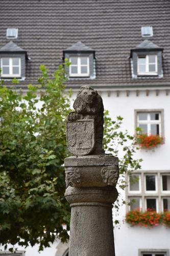 Nahansicht Löwenbrunnen, Löwenfigur mit Wappen