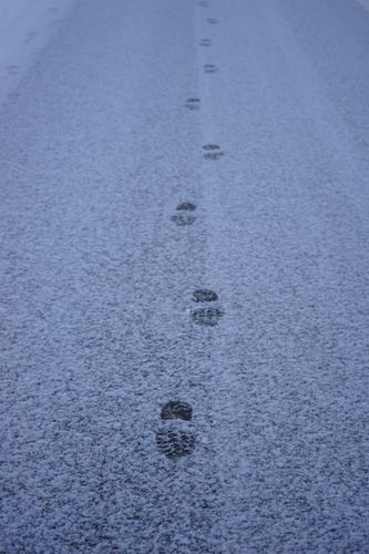 Foto Spuren im Schnee