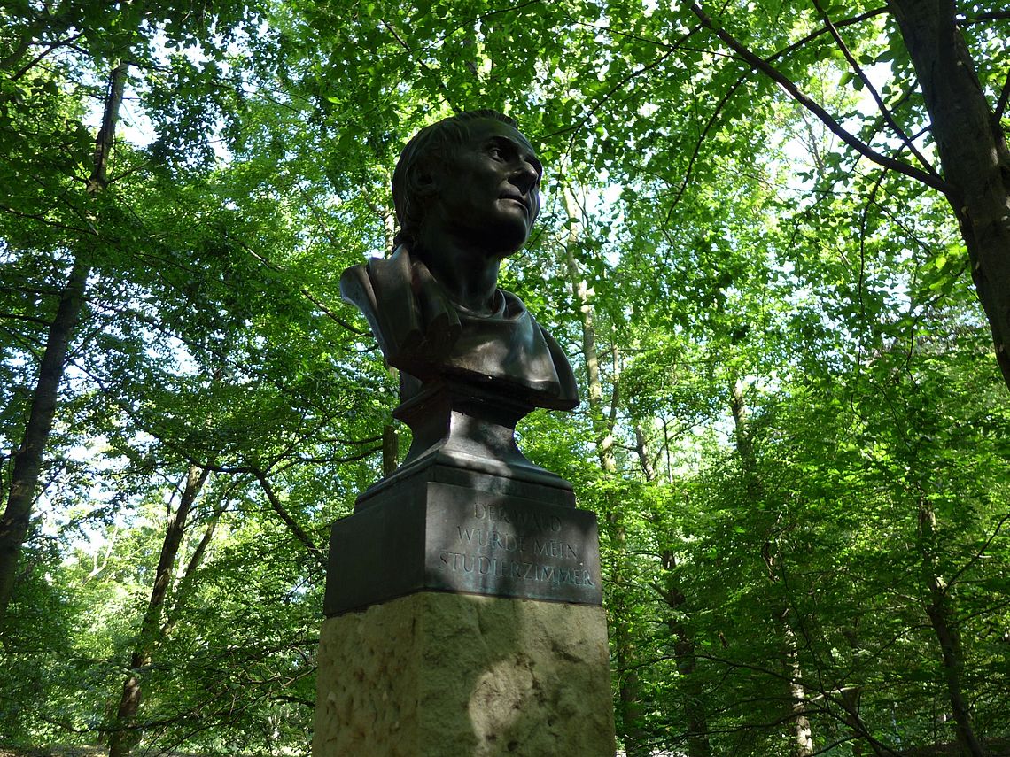 Foto Finlay-Park