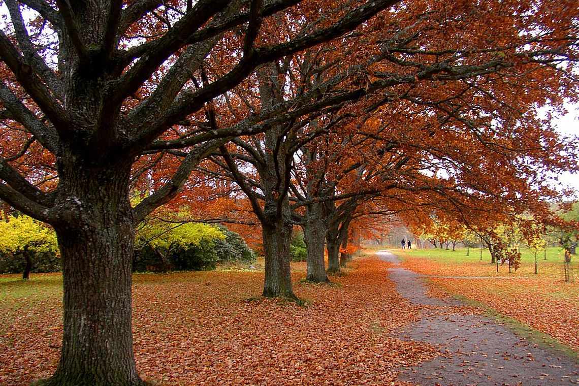 Herbstweg