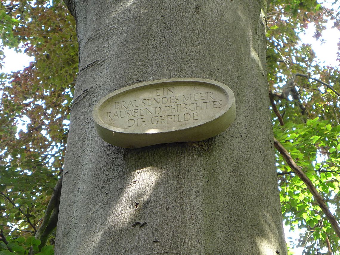 Foto Finlay-Park